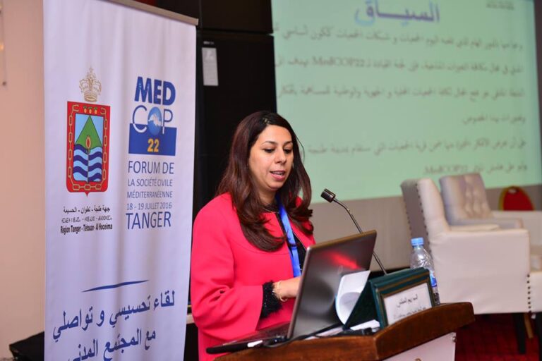 صورة المقالة