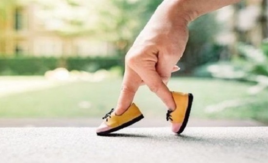 صورة المقالة