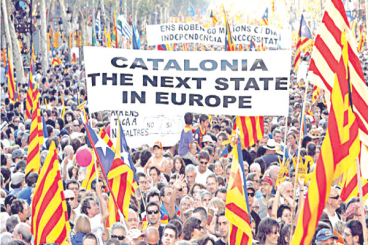 صورة المقالة