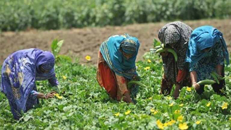 صورة المقالة