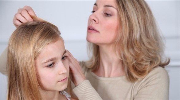 صورة المقالة