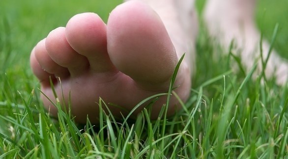 صورة المقالة