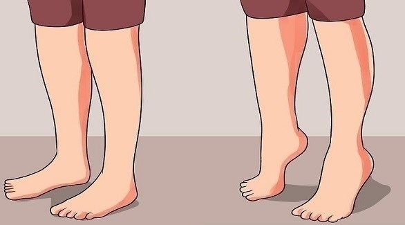 صورة المقالة