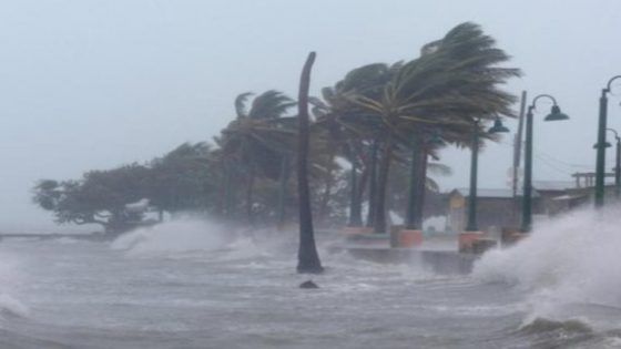 بسبب الإعصار إيملى.. انقطاع الكهرباء عن 100 ألف منزل فى جنوب غرب فرنسا