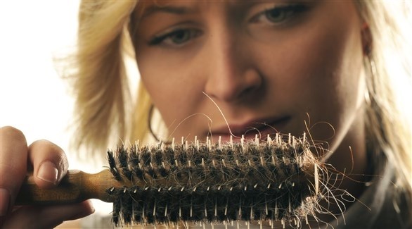 صورة المقالة