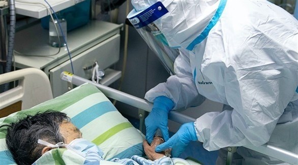 صورة المقالة