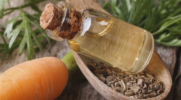 صورة المقالة