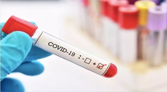 صورة المقالة