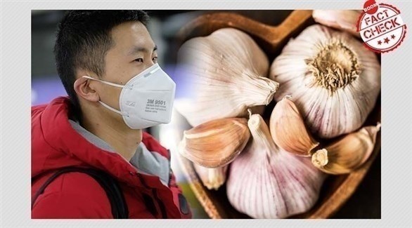 صورة المقالة