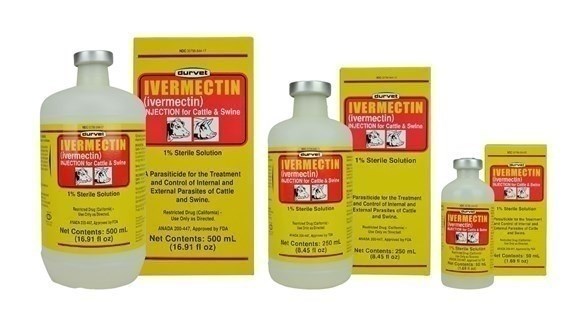 صورة المقالة