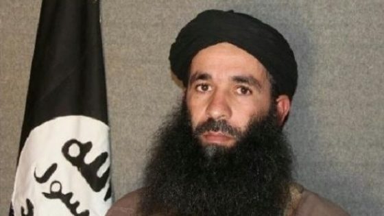 داعش يقتل زعيم القاعدة في منطقة الساحل الأفريقي