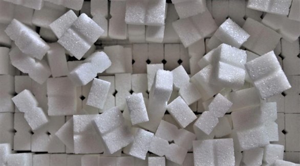 صورة المقالة