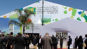 صورة المقالة