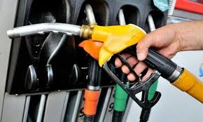 صورة المقالة