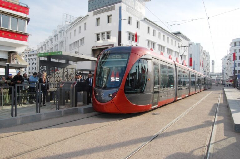 صورة المقالة