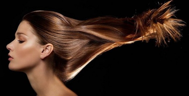 صورة المقالة