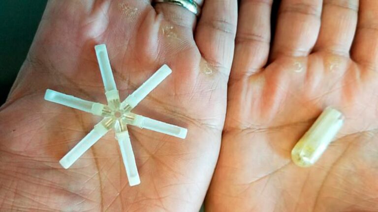 صورة المقالة