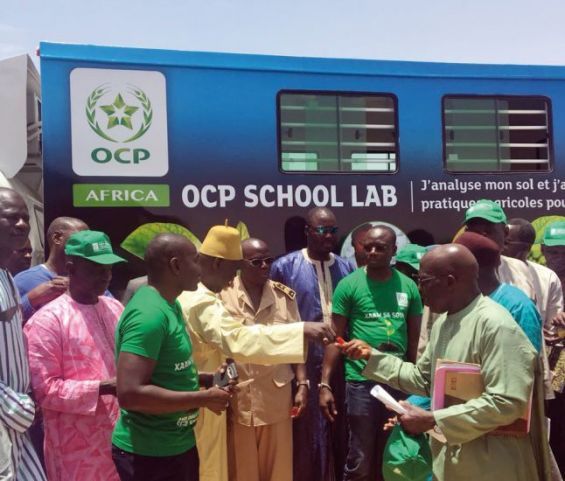 صورة المقالة