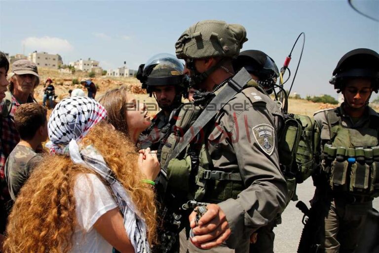 صورة المقالة