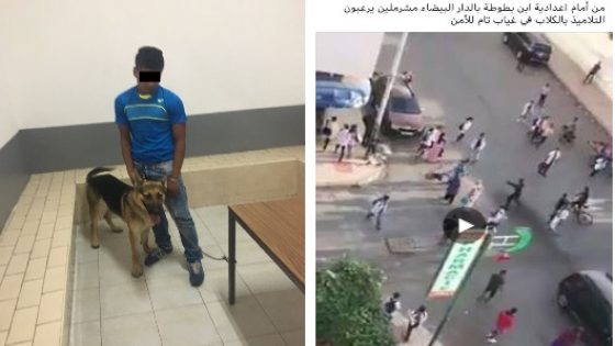 الدارالبيضاء ..اعتقال الشخص الذي هدد التلاميذ باستعمال كلب