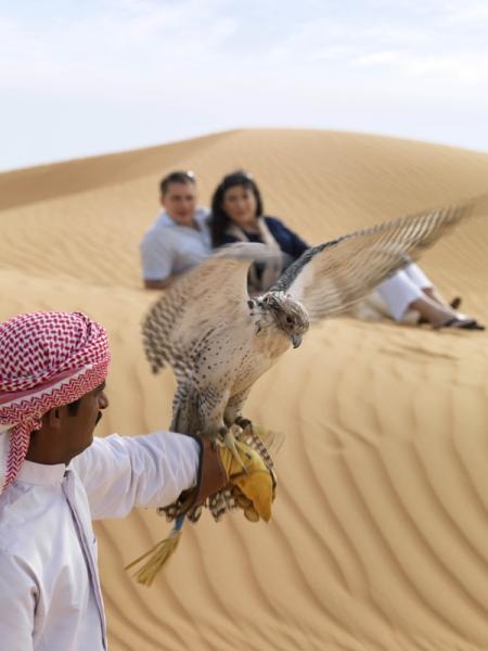 صورة المقالة