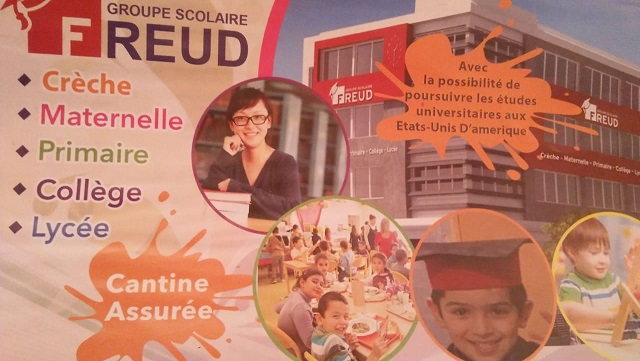 صورة المقالة