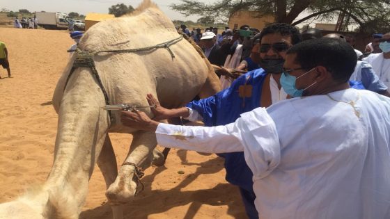 “حمى الوادي المتصدع” تواصل حصد الأرواح في موريتانيا