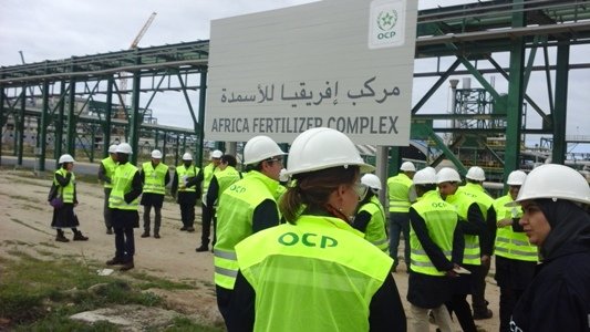 صورة المقالة