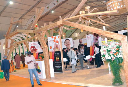 صورة المقالة