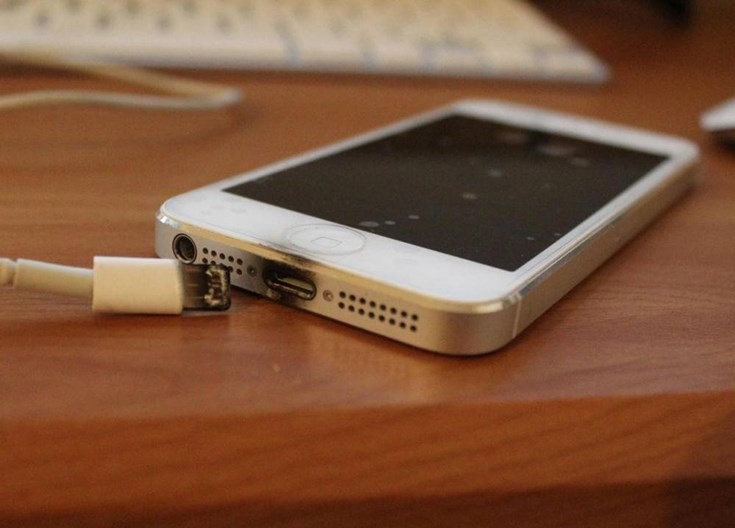 صورة المقالة