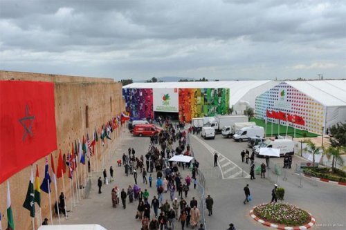 صورة المقالة