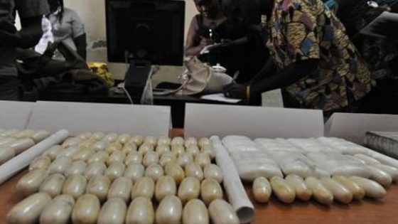 الدار البيضاء: حجز 1,795 كلغ من المخدرات لدى مواطن جنوب إفريقي