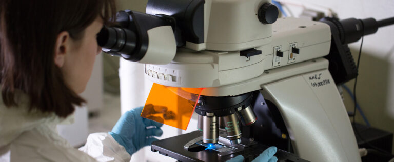 صورة المقالة