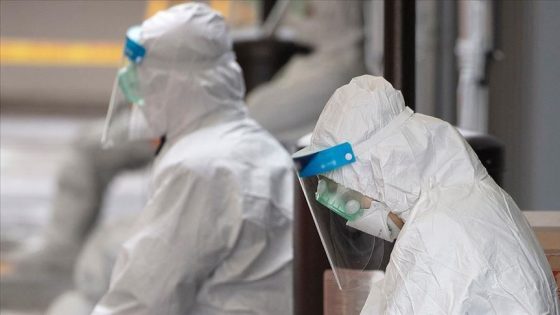 وزارة الصحة تعلن تسجيل 164 إصابة جديدة بفيروس كورونا في 24 ساعة