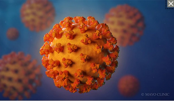 صورة المقالة