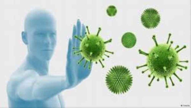 صورة المقالة