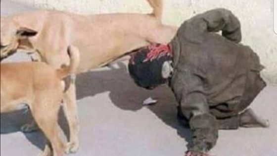 وزارة الداخلية تكشف حقيقة صورة "متشرد يرضع من ثدي كلبة"