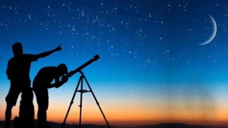 صورة المقالة