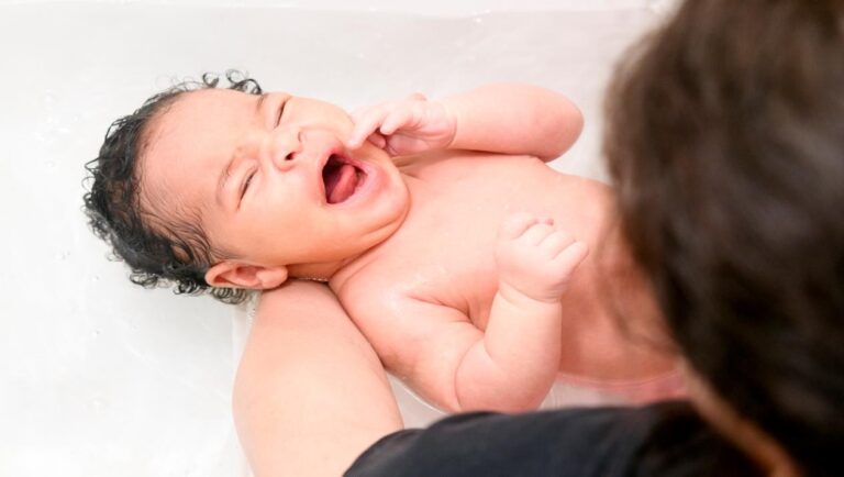 صورة المقالة