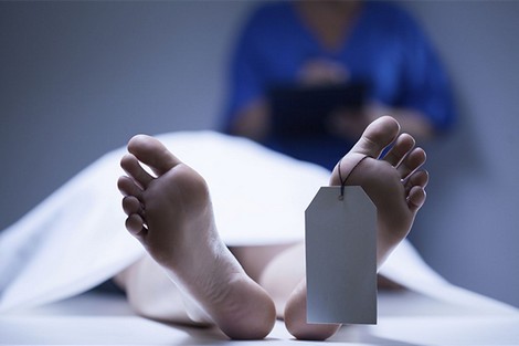 صورة المقالة