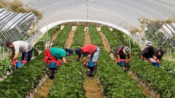 المصادقة على الاتفاق الفلاحي بين المغرب والاتحاد الاروبي