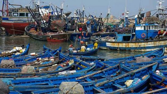 الاتحاد الأوروبي يصادق على اتفاق الصيد البحري مع المغرب