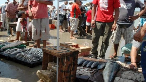 جمعية تصبير السمك بآسفي تكشف حقيقة "بؤرة السردين" بالمدينة