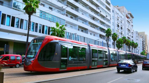 صورة المقالة