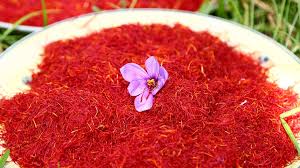 صورة المقالة