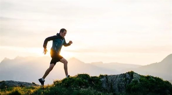 صورة المقالة