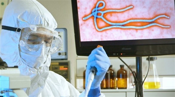 صورة المقالة