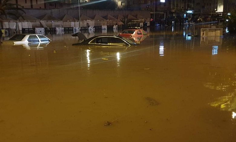 صورة المقالة