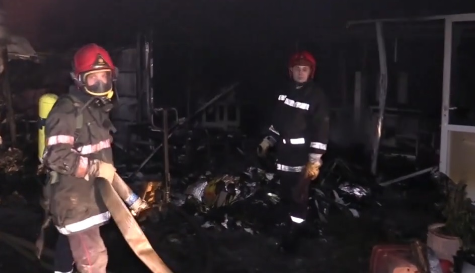 صورة المقالة