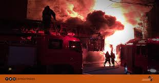 صورة المقالة